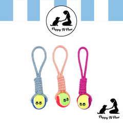 Puppy N Paw Rope with Tennis Ball for Pets