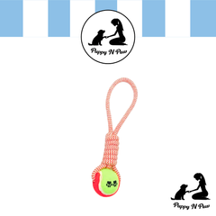 Puppy N Paw Rope with Tennis Ball for Pets