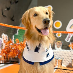 Momoji Tennis Pet Bib - White ชุดเทนนิสชาย เทนนิสหญิง ชุดสำหรับสุนัข แมว ชุดน้องหมามีกระโปรง