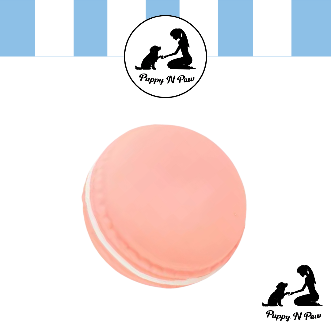 Puppy N Paw Sweet Tooth Plush Toy for Pets