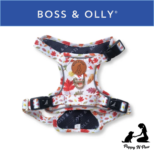 Boss & Olly - Autumn Leaves Active Harness รัดอก สายจูง สำหรับสุนัขและแมว Leash and Harness for Dog and Cat