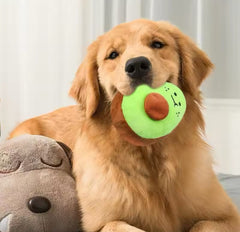 Puppy N Paw Avocado Plush Toy for Pets