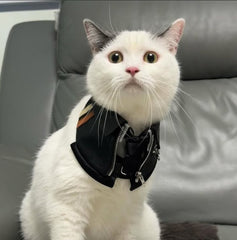 Momoji Shin Bib - Charcoal Black ชุดน้องหมาน้องแมว เสื้อผ้าสุนัข ผ้าผันคอหนัง สีดำ Jacket for Pets