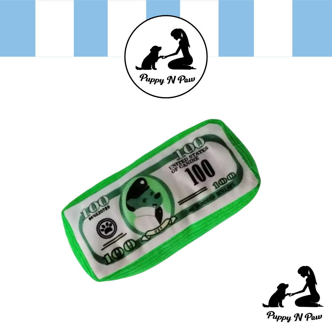 Puppy N Paw Dollars Dog Club Plush Toy for Pets