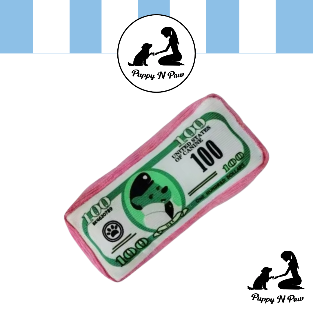 Puppy N Paw Dollars Dog Club Plush Toy for Pets