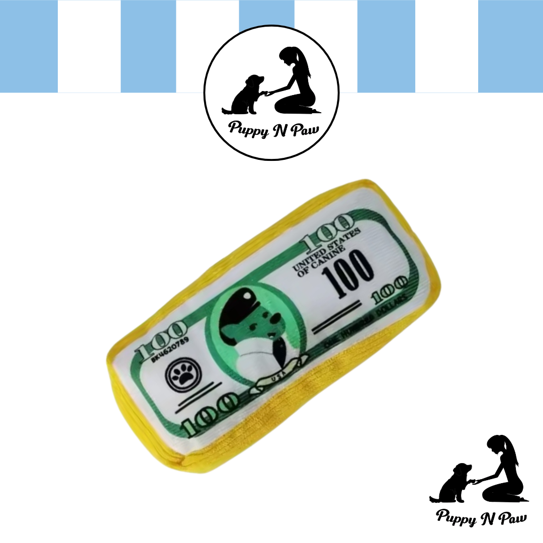 Puppy N Paw Dollars Dog Club Plush Toy for Pets