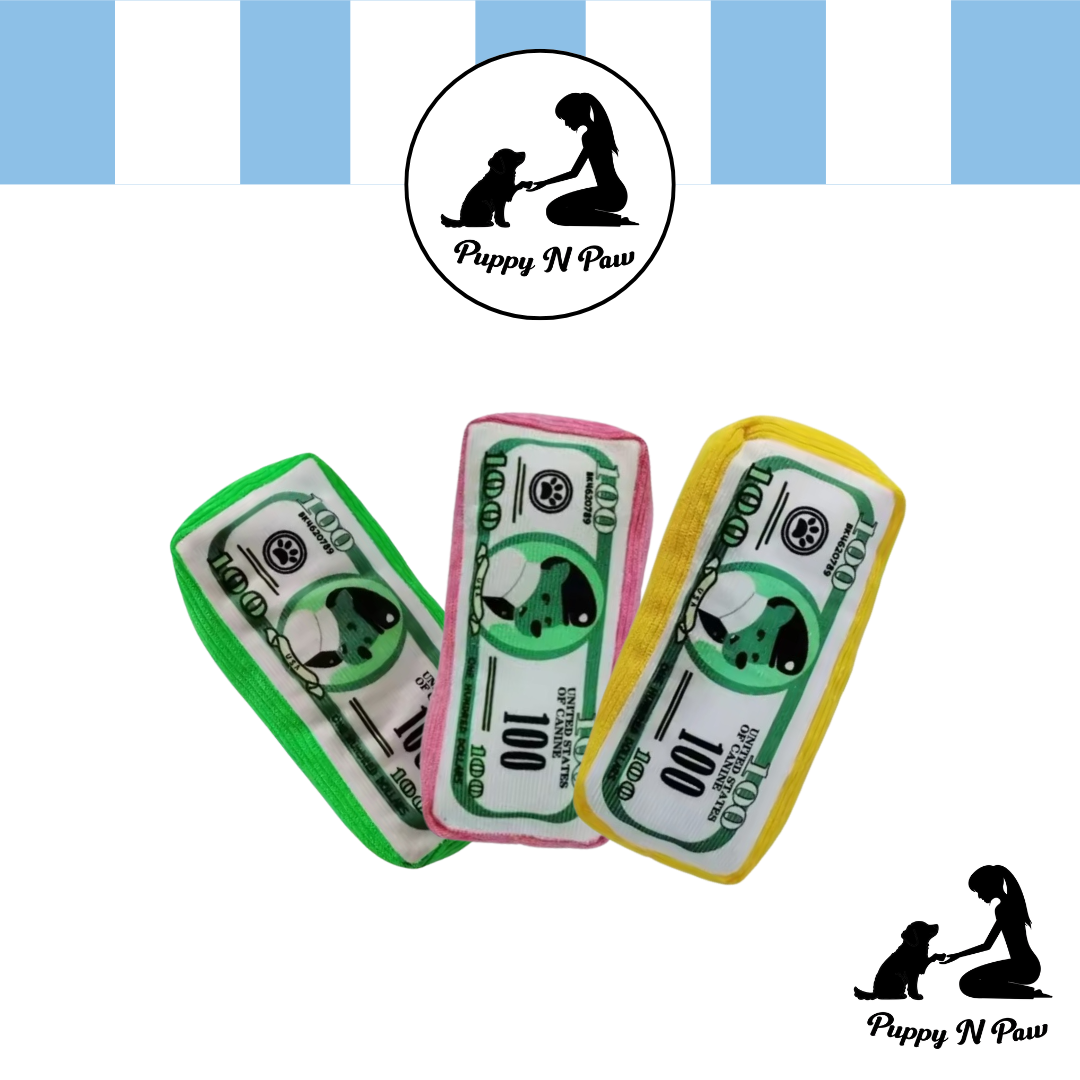 Puppy N Paw Dollars Dog Club Plush Toy for Pets
