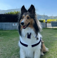 Momoji Tennis Pet Bib - White ชุดเทนนิสชาย เทนนิสหญิง ชุดสำหรับสุนัข แมว ชุดน้องหมามีกระโปรง