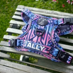 Boss & Olly - Ombre Active Harness