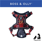 Boss & Olly - Lumberjack Plaids