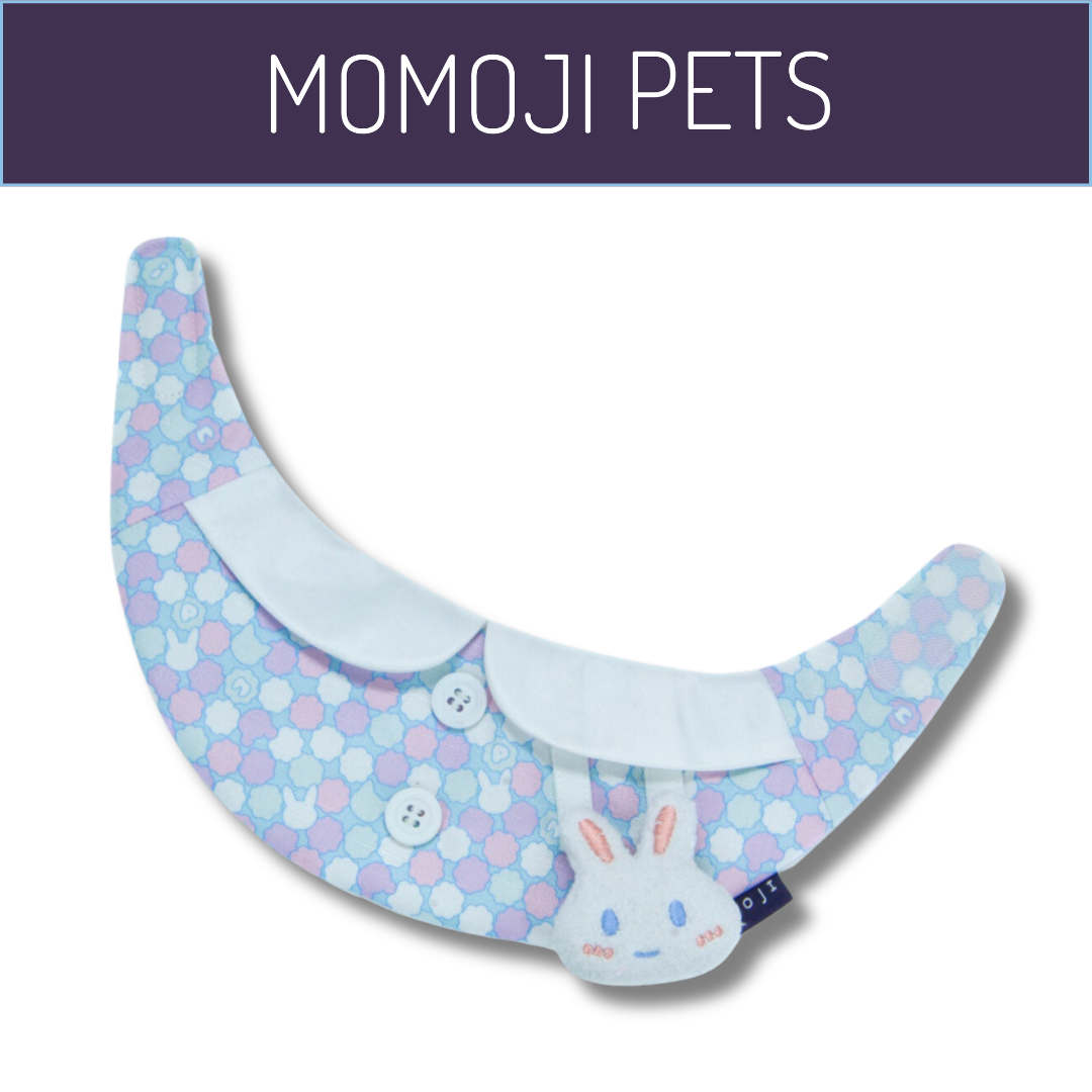 Momoji Bear Toto Boy - Macaron Blue