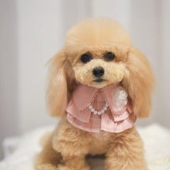 Momoji Matilda Bib - ชุดสุนัข แมว ชุดผู้หญิง สำหรับสัตว์เลี้ยง ชุดคุณหนูมีกระโปรงใส่ออกงาน