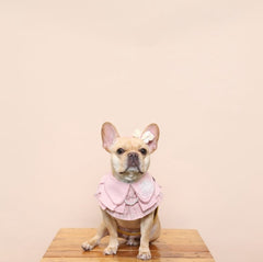 Momoji Matilda Bib - ชุดสุนัข แมว ชุดผู้หญิง สำหรับสัตว์เลี้ยง ชุดคุณหนูมีกระโปรงใส่ออกงาน