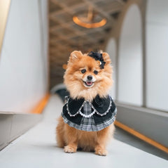 Momoji Matilda Bib - ชุดสำหรับสัตว์เลี้ยง ชุดผู้หญิง