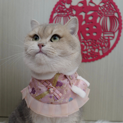 Momoji Jade Bib - ชุดจีน ผ้าพันคอสำหรับสัตว์เลี้ยง