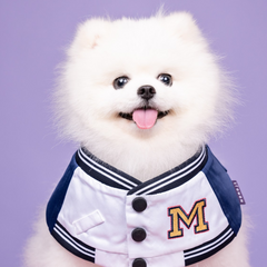 Momoji Basepaws Bib - ผ้าพันคอสำหรับสัตว์เลี้ยง ชุดเบสบอล