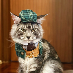 Momoji Charles Hat - หมวกสุนัข แมว สำหรับสัตว์เลี้ยง