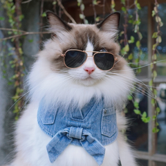 Momoji D'Aguilar Bib - Sky Denim ผ้าพันคอสุนัข