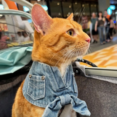 Momoji D'Aguilar Bib - Sky Denim ผ้าพันคอสุนัข