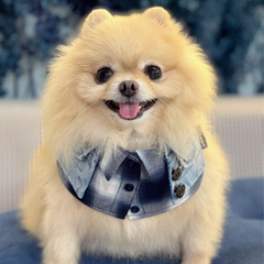 Momoji Duddell Bib - Denim Blue ผ้าพันคอสุนัข