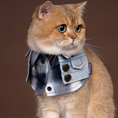 Momoji Duddell Bib - Denim Blue ผ้าพันคอสุนัข