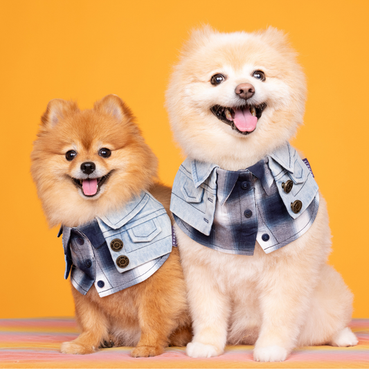 Momoji Duddell Bib - Denim Blue ผ้าพันคอสุนัข