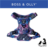Boss & Olly - Ombre Active Harness