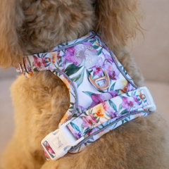 Boss & Olly - Orchid Active Harness