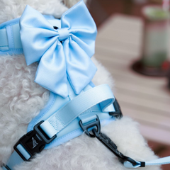 Boss & Olly - Pastel Blue