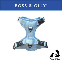 Boss & Olly - Pastel Blue
