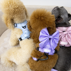 Pastel Purple Collection - Boss & Olly
