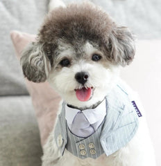 Momoji Queensway Bib ผ้าพันคอสุนัข ผ้าพันคอสัตว์เลี้ยง ชุดสูททางการ