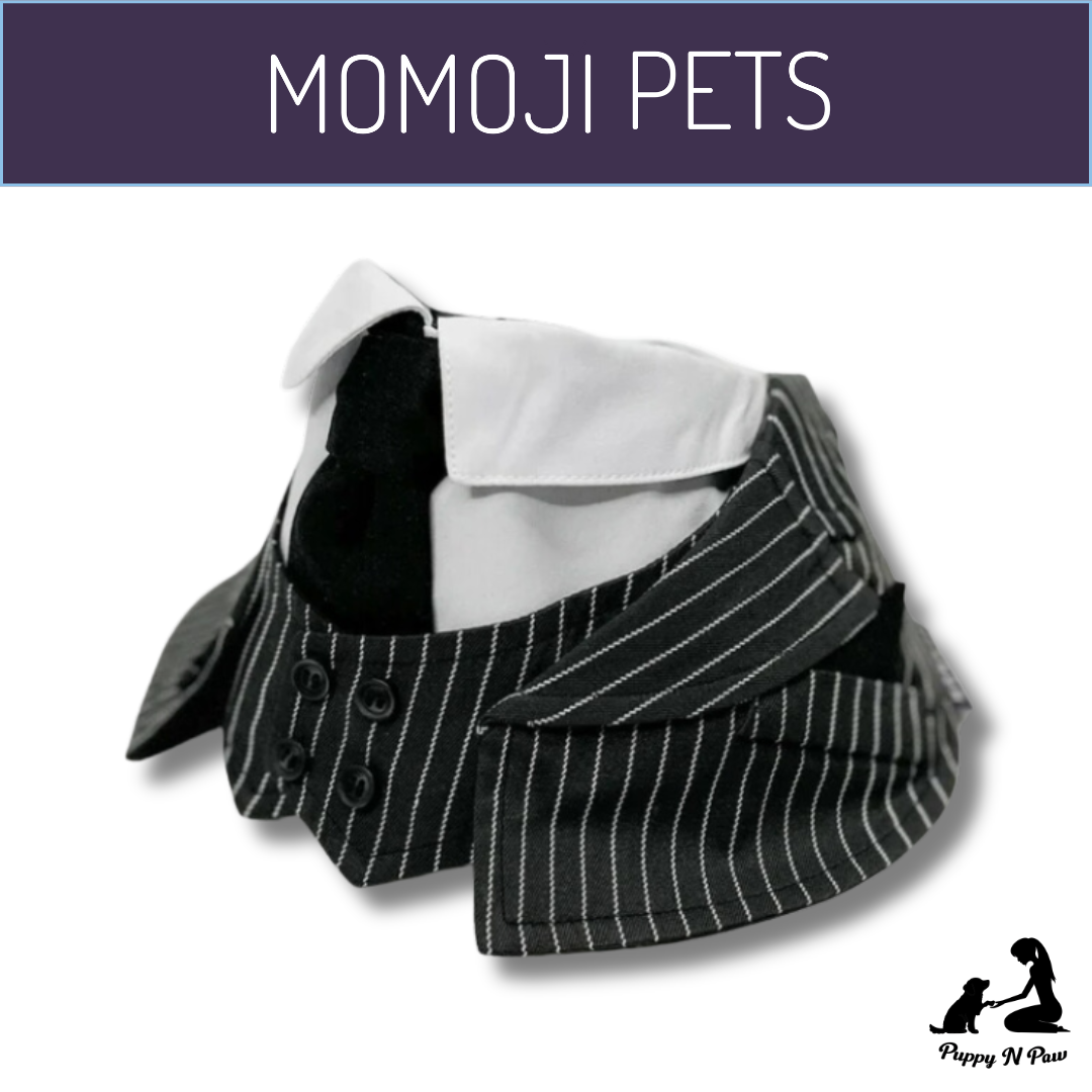 Momoji Queensway Bib