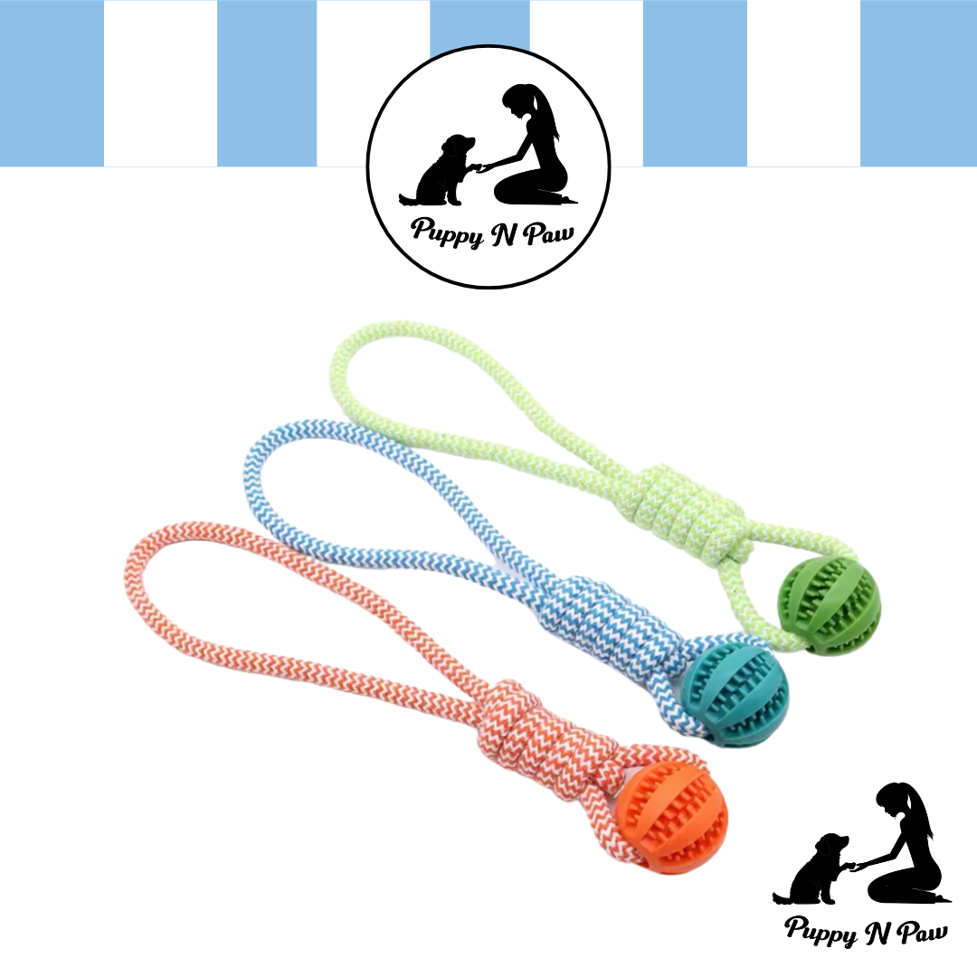 Puppy N Paw Rope with Teeth Cleaning Ball for Pets