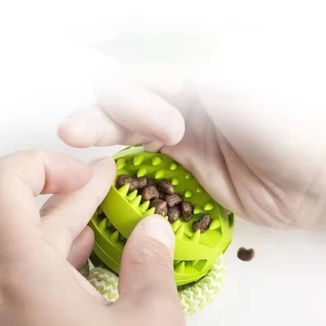 Puppy N Paw Rope with Teeth Cleaning Ball for Pets