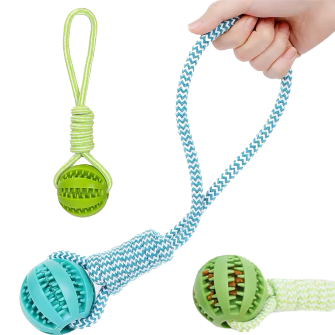 Puppy N Paw Rope with Teeth Cleaning Ball for Pets