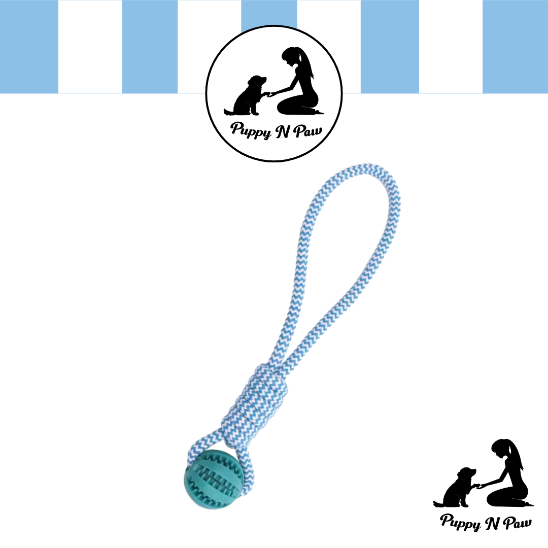 Puppy N Paw Rope with Teeth Cleaning Ball for Pets