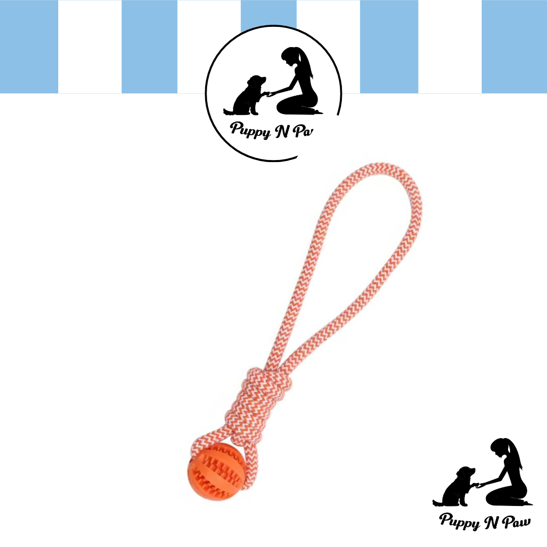 Puppy N Paw Rope with Teeth Cleaning Ball for Pets