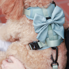 Boss & Olly - Pastel Sage