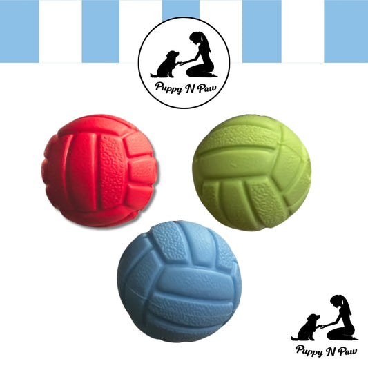Puppy N Paw Small Ball with Squeaky - บอลสำหรับหมา ลูกบอหมาเล็ก