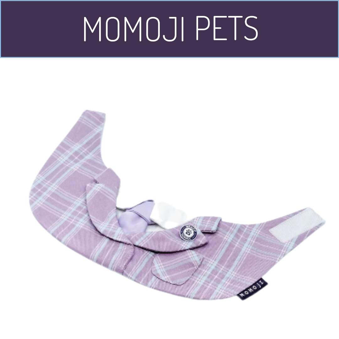 Momoji St Edan Boys Bib - Lavender Purple