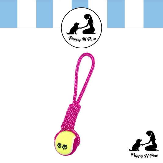 Puppy N Paw Rope with Tennis Ball for Pets - ของเล่นสุนัขเชือกพร้อมลูกเทนนิส