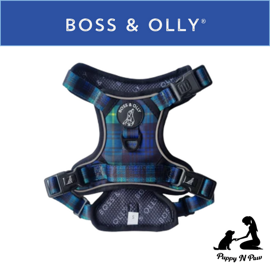Boss & Olly - Forest Plaid รัดอก สายจูง สำหรับสุนัขและแมว Leash and Harness for Dog and Cat
