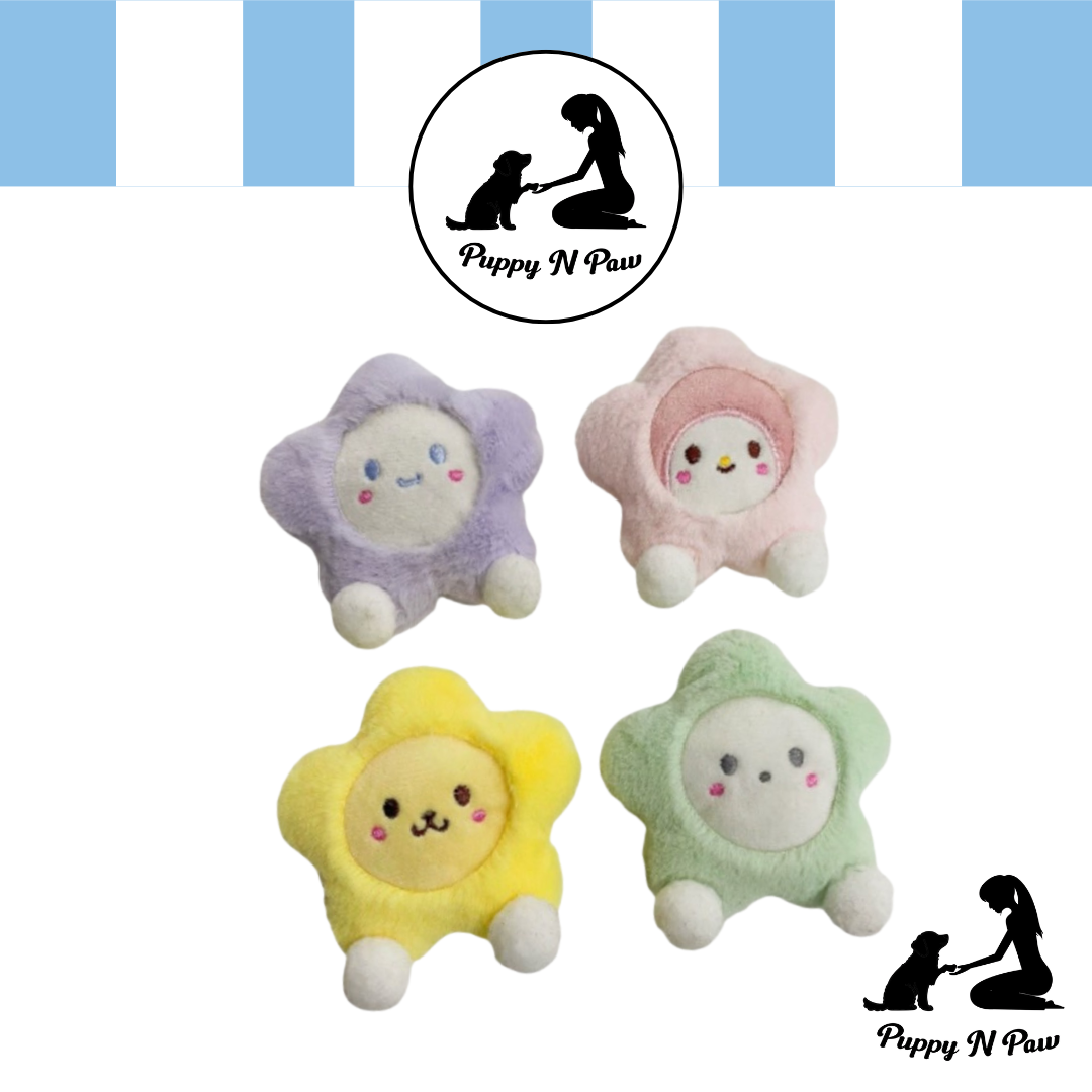 Puppy N Paw Little Star Plush Toy for Pets
