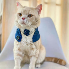 Momoji Queensway Bib ผ้าพันคอสุนัข ผ้าพันคอสัตว์เลี้ยง ชุดสูททางการ