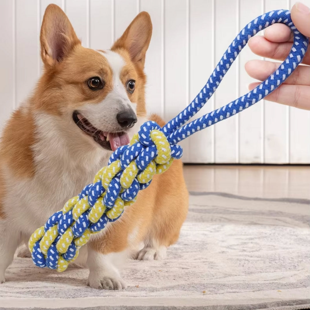 Puppy N Paw Fun Rope Bite Resistant for Pets -  ของเล่นเชือกถักสำหรับสุนัข