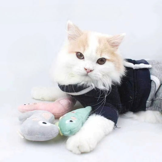 Puppy N Paw Slime Cat Toy with Catnip - ของเล่นสำหรับน้องแมว