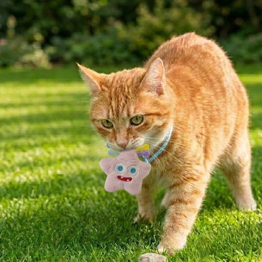 Puppy N Paw Freaky Star Squeaky Toy  ของเล่นแมว ของเล่นสัตว์เลี้ยง บีบมีเสียง