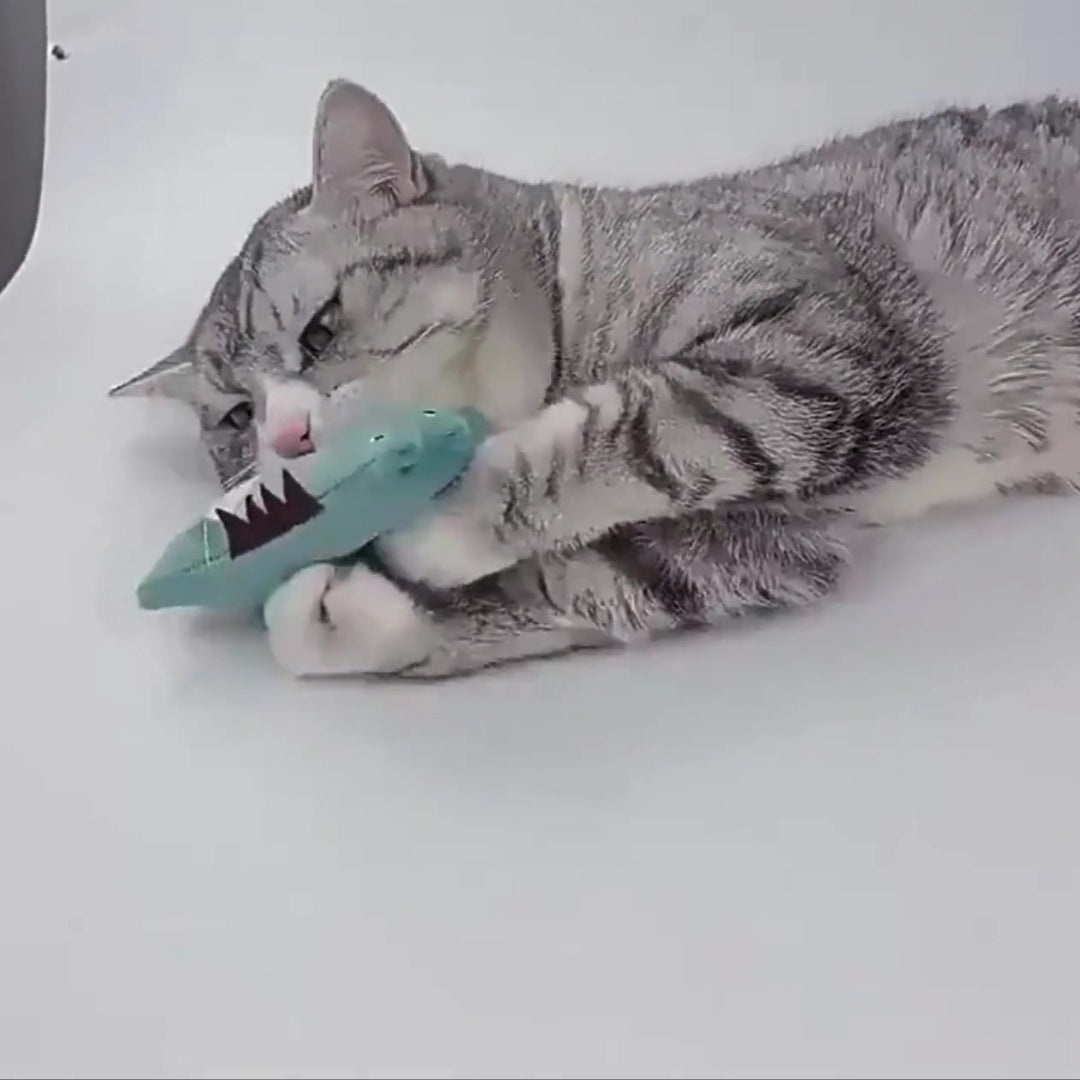 Puppy N Paw Slime Cat Toy with Catnip - ของเล่นสำหรับน้องแมว