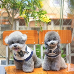 Momoji Tennis Pet Bib - ผ้าพันคอสำหรับสัตว์เลี้ยง ชุดเทนนิสชาย เทนนิสหญิง